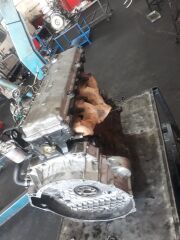 Çıkma Motor Şampiyon Npr66 Royal Roybus 4hf1