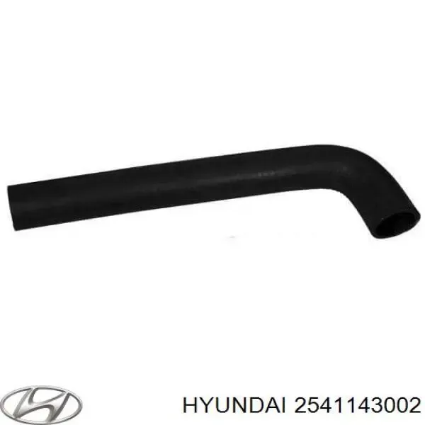 HORTUM RADYATÖR ÜST H100 / L300 / KAMYONET 94-05 25411-43001